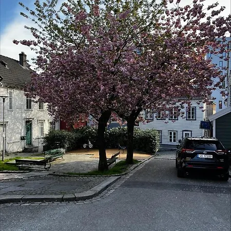Daire Ross-smauet - Charming House Constructed In 1880